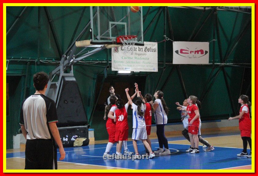 140225 Ginnic 218_tn.jpg